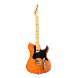 Guitar Collection: Fender Telecaster, Mike Stern