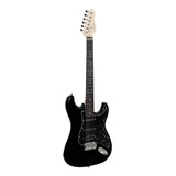Guitarra Elétrica Giannini Standard G-101 Stratocaster