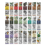 Incenso Nirvana Natural - 24 Aromas Naturais - Escolha O Seu