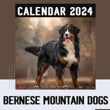  Livro: Bernese Mountain Dogs Calendário: Calendário De Anim