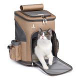 Gato