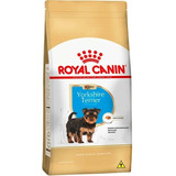 Ração Royal Canin Yorkshire Terrier