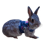  Roupa Pet Peitoral + Guia Para Mini Coelho, Coelho Anão 