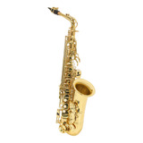 Saxofone Alto Laqueado Eb Custom Com Case