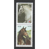 Selos Novos C-3592-93 - Cavalos