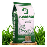  Sementes Plante Forte Capim Tanzânia 5kg