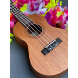 Ukulele Shelby Concert Su23m capa palheta método Brinde
