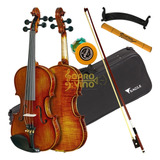  Violino Profissional 4/4 Envelhecido Eagle Vk 544 Classic S