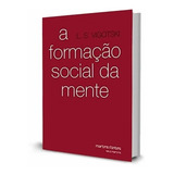 A Formação Social Da Mente L S Vigotski