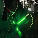 A K L YDIA Peitoral De Cavalo De LED Recarregável Por USB 3 Modos De Iluminação Ajustável Elástico Refletivo Noturno Barra De Luz Piscante Para Show Equestre Amarelo Verde