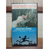 A Marvada Carne Fernanda Torres
