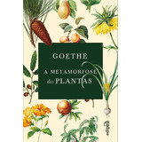 A Metamorfose Das Plantas