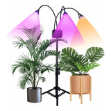 A Planta Cresce A Luz Com Suporte Espectro Completo 60w