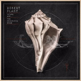 a static lullaby-a static lullaby Robert Plant Lullaby And The Ceaseless Roar Cd Digipack Lacr