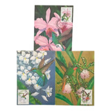 A9414 Máximo Postal Brapex Viii Fauna E Flora N 152 4