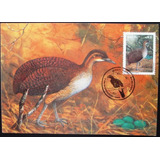 A9425 Máximo Postal Preservação Da Fauna Aves N 193 4
