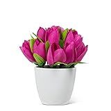 Abbott Collection 27-BLOOM-05-FUS Cabeças De Tulipa Em Panela- Fúcsia