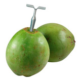 Pç