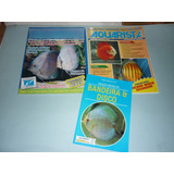 Leitura