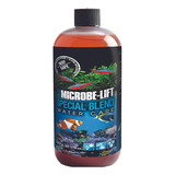 Acelerador Biológico Microbe Lift Special Blend