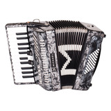 Acordeon Sanfona 48 Baixos Michael Acm4803n Pbk Com Case
