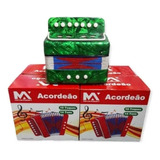Acordeon Sanfona Gaita Infantil 10 Baixos Brinquedo Crianças