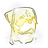 Acrílico Decorativo Espelhado Cachorro Boxer Dourado