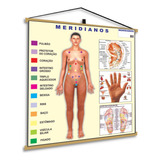 Acupuntura Banner Poster Mapa Corpo Humano Anatomia Medicina
