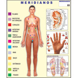 Acupuntura Meridianos Poster Mapa Anatomia Corpo
