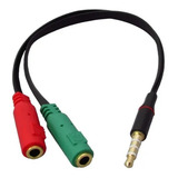 Mic