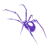 Adesivo Aranha Viuva Negra Grande Para Moto Carro Caminhão