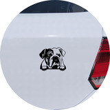 Adesivo Carro Moto Vidro Cachorro Raça Bulldog Inglês