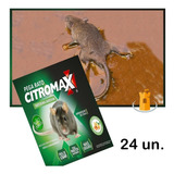 Adesivo Cola Para Ratos Kit 24 Armadilhas não tóxica