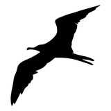 Vidros