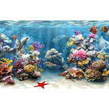 Adesivo Decoração Parque Aquático Aquário Pesqueiro Mar Cor Colorido