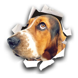 Adesivo Externo De Racas De Cachorro Para Decorar
