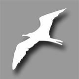 Vidro