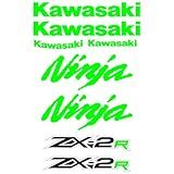 Adesivo Protetor Kawasaki Ninja 250r Verde