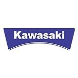 Adesivo Protetor Kawasaki Rabeta Azul