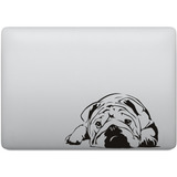 Adesivo Tablet Notebook Pc Bulldog Inglês