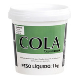 Adesivo Tipo Cola Cola Santa Luzia 1 Kg