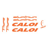 Adesivos Caloi T Type Laranja Mtb Montain Bike