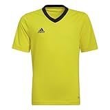 Adidas Camisa Infantil Entrada 22 Equipe Amarelo Preto Large