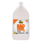 Aditivo Radiador Rad Cool Long Life Orgânico Concentrado 1l