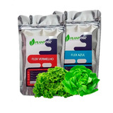 Adubo Cultivo Hidroponico 1000 Litros Plantpar