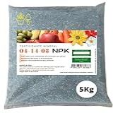 5Kg