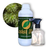 Spray