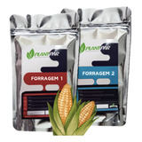 Adubo Plantpar Para Forragem Hidroponia 1000 Litros