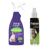 Catnip