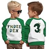 AG AGUU Camisas De Aniversário Para Meninos Pequenos Traje De Dinossauro Three Rex Festa De Dinossauro Pulôver De Manga Comprida Camisetas De Outono Roupas 3T Verde 3T 
